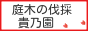 庭木・立ち木の伐採、草刈り、コンクリ斫り、プレハブ撤去 etc..